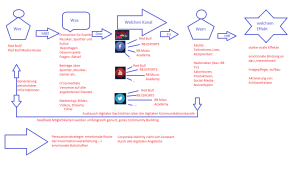 Abb.1: digitaler Kommunikationsprozess von Red Bull zur externen Unternehmenskommunikation, eigene Darstellung